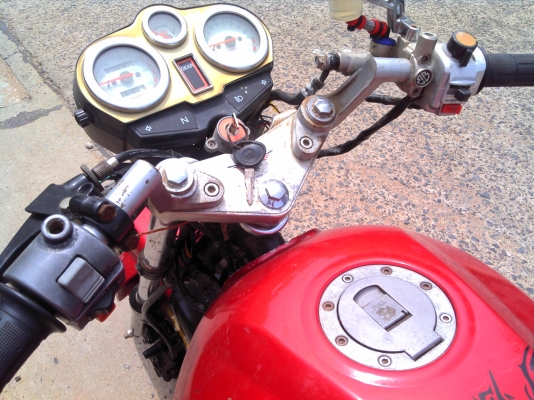 ขาย//แลก//เทริน// แพมตินั่ม 9999 ขาย//แลก//เทริน// แพมตินั่ม 9999