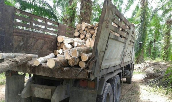 รถฮีโน่ 10 ล้อดั้ม FM3M 240 แรงม้า. ปี 38 สนใจติดต่อ 081 - 6079515 รถฮีโน่ 10 ล้อดั้ม FM3M 240 แรงม้า. ปี 38 สนใจติดต่อ 081 - 6079515