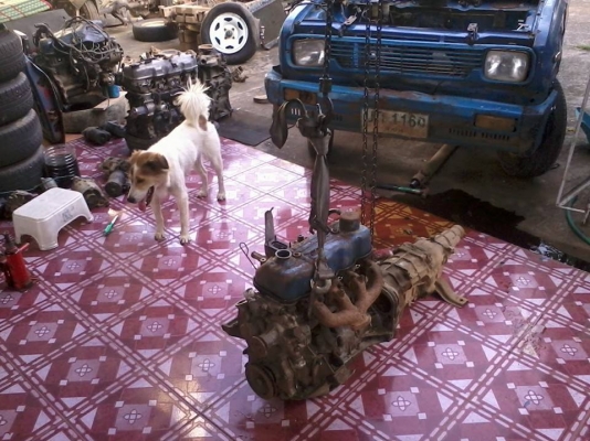 ระเบิด มาสด้า 1000  เกียร์คอ