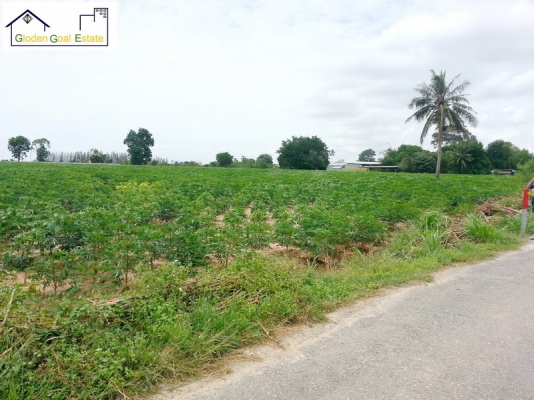 ขายที่ดิน11 ไร่ ติดสวนน้ำระดับโลก  cartoon network amazon  เหมาะทำโรงแรม 5 ดาว