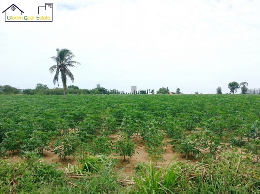 ขายที่ดิน11 ไร่ ติดสวนน้ำระดับโลก  cartoon network amazon  เหมาะทำโรงแรม 5 ดาว