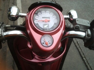 สกุบี้ปี2554