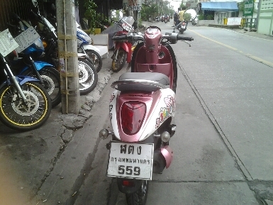 สกุบี้ปี2554