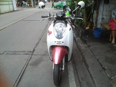 สกุบี้ปี2554