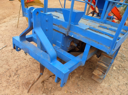 ขายหางปลูกอ้อย