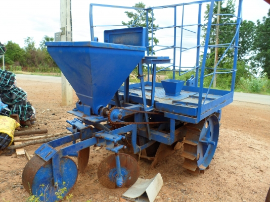 ขายหางปลูกอ้อย