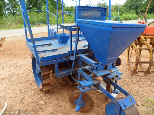 ขายหางปลูกอ้อย