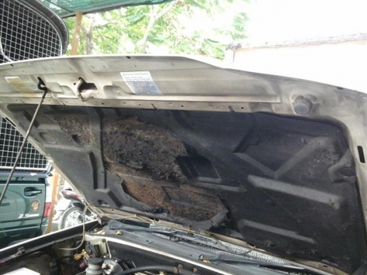 อีซูซุ สปาค์ เจ้าของขายเอง อีซูซุ สปาค์ เจ้าของขายเอง