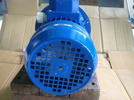 ขายปั๊มน้ำหอยโข่ง EBARA  2 HP ระบบไฟ 3 สาย MADE IN ITALY