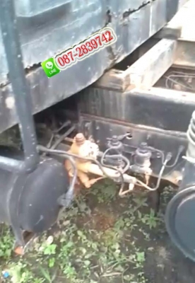 ขายรถดั้มพ์ 6 ล้อ ขนาดใหญ่ ขายรถดั้มพ์ 6 ล้อ ขนาดใหญ่