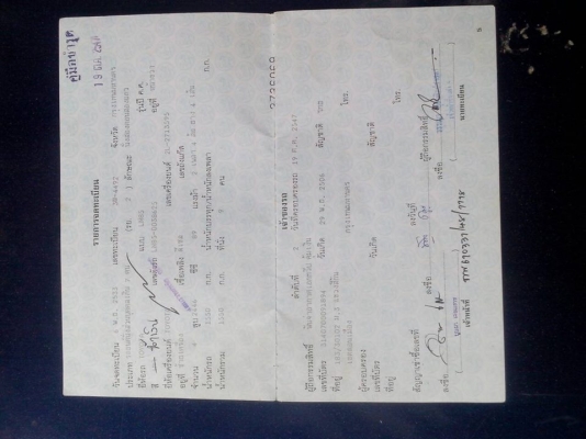 ขาย ไมตี้ป้ายเเดงมือเดียว ปี 90 เเวนเเท้ แอร์หนาว หน้าหลัง ขาย ไมตี้ป้ายเเดงมือเดียว ปี 90 เเวนเเท้ แอร์หนาว หน้าหลัง