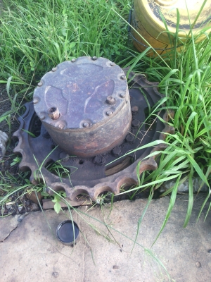 ขายตัวเดินไฮดาส