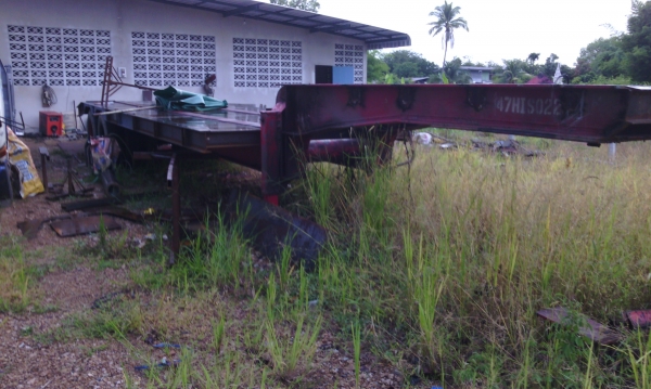 ขายหางโรเบท