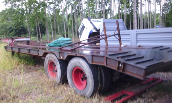 ขายหางโรเบท