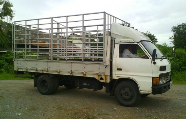 ขายแล้วครับ ขอบคุณพี่บอยปทุมครับ