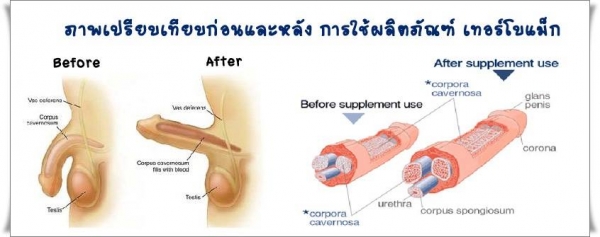 าเพิ่มขนาด เทอร์โบแม็ก (Turbo Max)  ส่วนผสมที่มากและดีที่สุดในโลก0991936991