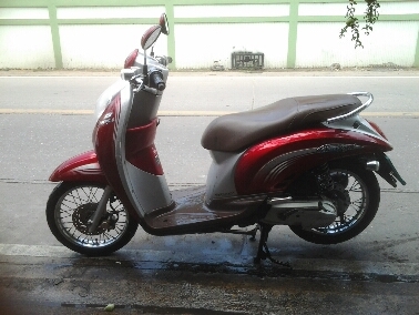 สกุบี้iปี2554