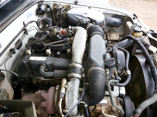 tiger อยากขาย