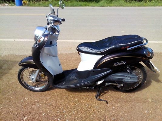 ฟัโน่ปี51