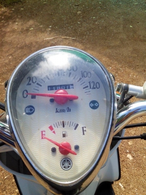 ฟัโน่ปี51