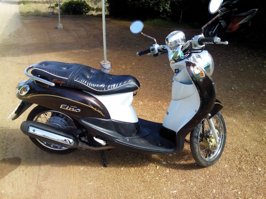 ฟัโน่ปี51