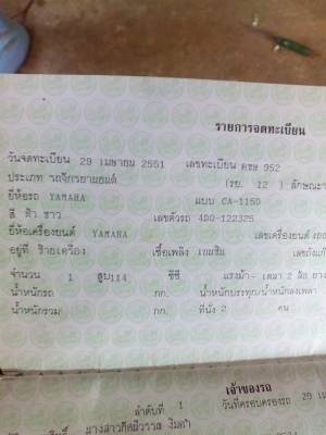 ฟัโน่ปี51