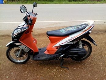 มีโอสองตาปี53 รวมส่ง