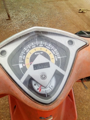 มีโอสองตาปี53 รวมส่ง