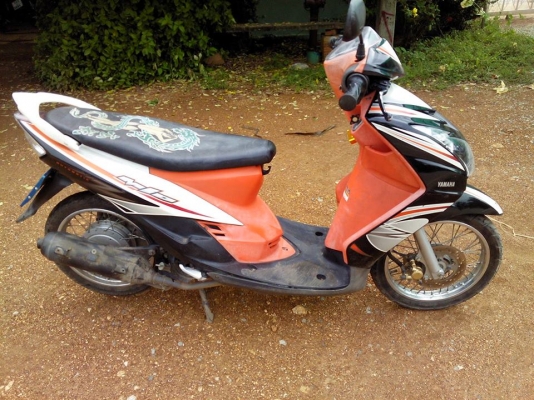 มีโอสองตาปี53 รวมส่ง