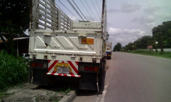 ขาย !! ลูกพ่วงสามมิตรปี54 และปี53