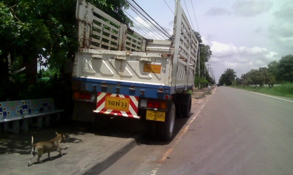 ขาย !! ลูกพ่วงสามมิตรปี54 และปี53