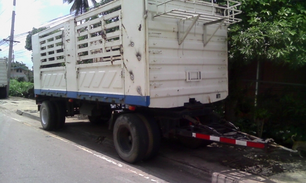 ขาย !! ลูกพ่วงสามมิตรปี54 และปี53