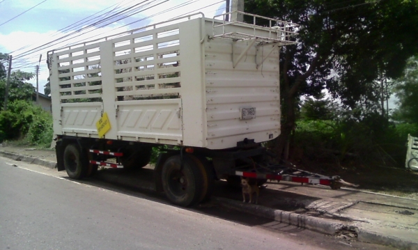 ขาย !! ลูกพ่วงสามมิตรปี54 และปี53