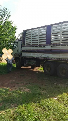 deca 360  ขายดาวน์แม่ลูก