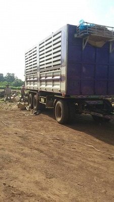 deca 360  ขายดาวน์แม่ลูก