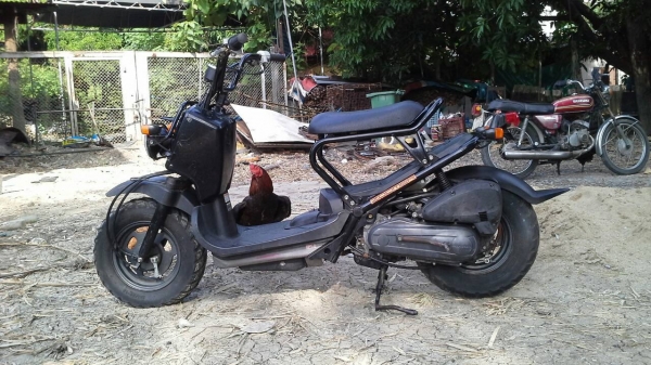 Honda Zoomer 50