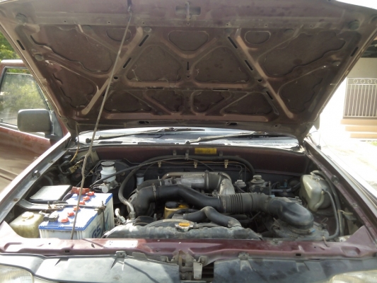 ขายตอนเดียวยอดนิยม สวย บาง เดิม ขายตอนเดียวยอดนิยม สวย บาง เดิม