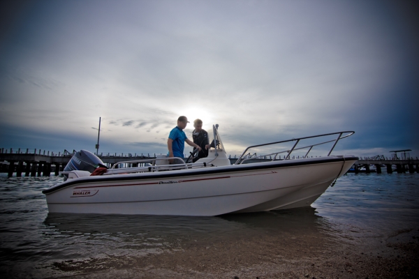 ขายเรือ bostonwhaler 160 Dauntless
