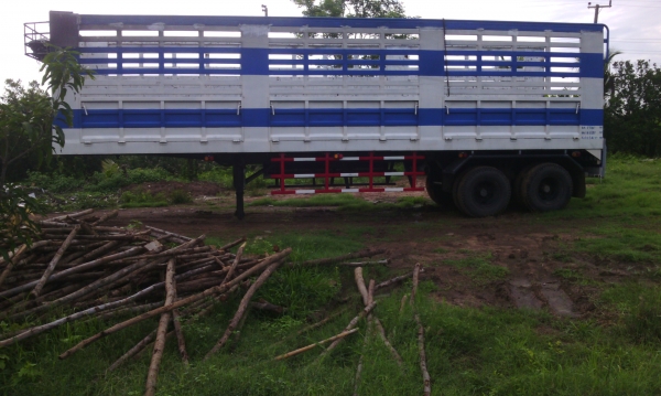 ขายหางลาก