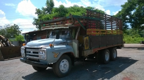 ขาย 10 ล้อหัวยาว 2 เพลาใหญ่จัมโบ้ เครื่อง EH700 168 แรงม้า คัสซีสวยจัดตลอดเส้น สโลว์กลาง ยางเต็ม ทะเบียนเต็มพร้อมโอนครับ