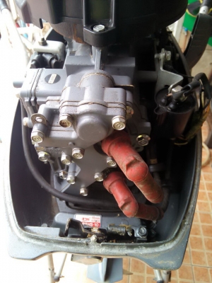 เรือยาง