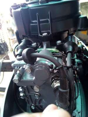 เรือยาง