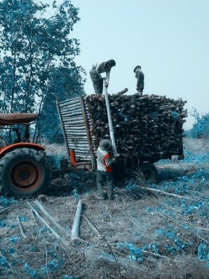 ขายดาวน์ 125,000 ส่งต่อได้เลย หรือตัดเงินสดได้ครับ 450,000