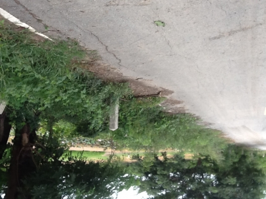 ขายที่ดินตินบึงน้ำติดถนนลาดยางน้ำปะปาไฟฟ้าพร้อมราคาไร่ละ350000฿จำนวน40ไร่ ขายที่ดินตินบึงน้ำติดถนนลาดยางน้ำปะปาไฟฟ้าพร้อมราคาไร่ละ350000฿จำนวน40ไร่