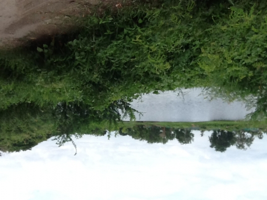 ขายที่ดินตินบึงน้ำติดถนนลาดยางน้ำปะปาไฟฟ้าพร้อมราคาไร่ละ350000฿จำนวน40ไร่ ขายที่ดินตินบึงน้ำติดถนนลาดยางน้ำปะปาไฟฟ้าพร้อมราคาไร่ละ350000฿จำนวน40ไร่