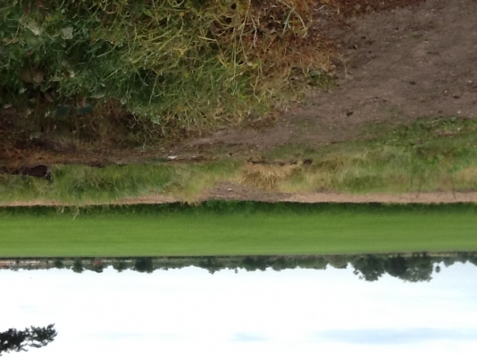 ขายที่ดินตินบึงน้ำติดถนนลาดยางน้ำปะปาไฟฟ้าพร้อมราคาไร่ละ350000฿จำนวน40ไร่