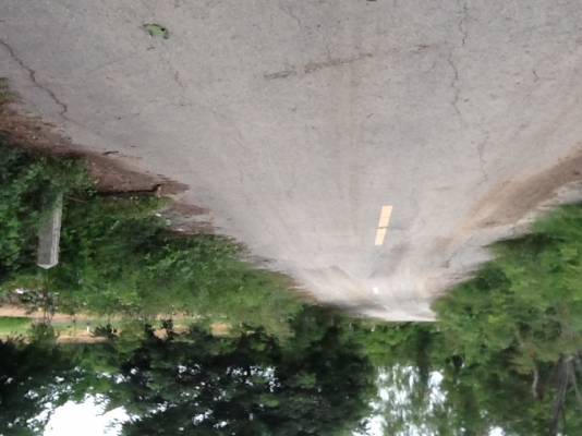 ขายที่ดินตินบึงน้ำติดถนนลาดยางน้ำปะปาไฟฟ้าพร้อมราคาไร่ละ350000฿จำนวน40ไร่ ขายที่ดินตินบึงน้ำติดถนนลาดยางน้ำปะปาไฟฟ้าพร้อมราคาไร่ละ350000฿จำนวน40ไร่