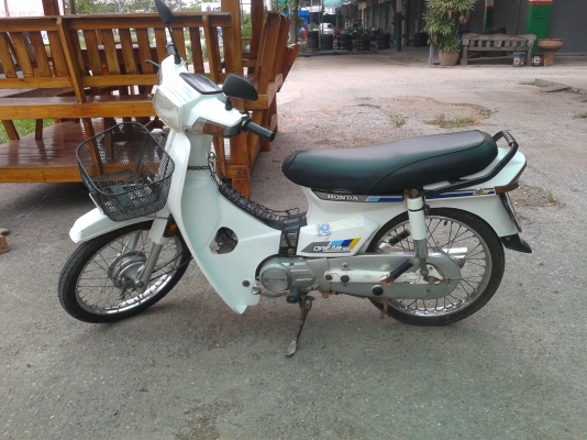 ดรีม คุรุสภาแท้ สวยสุด