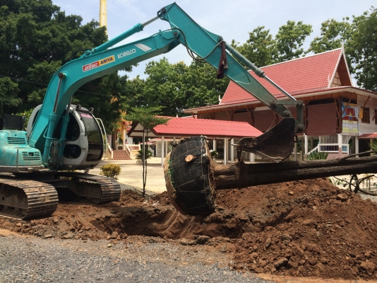 ขายแบคโฮ ยี่ห้อ KOBELCO SK120 Mark 5 อาร์มพิเศษ ใบแทค 70 ซม. ขายแบคโฮ ยี่ห้อ KOBELCO SK120 Mark 5 อาร์มพิเศษ ใบแทค 70 ซม.