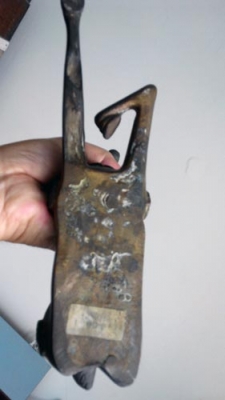 กวางทองเหลือง กวางทองเหลือง